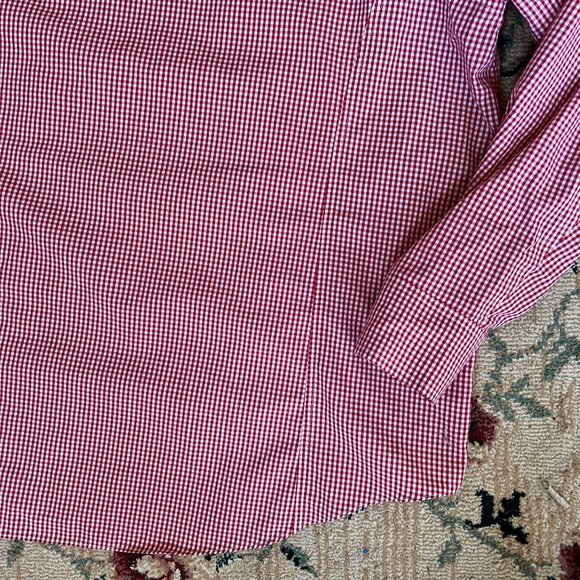 DISNEY Store Red & White Gingham Button-Down - Iconic Employee Design - Picture 9 of 12